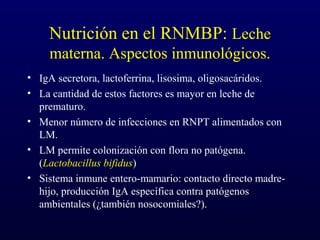 Nutrición en el RNMBP: Leche
materna. Aspectos inmunológicos.
• IgA secretora, lactoferrina, lisosima, oligosacáridos.
• La cantidad de estos factores es mayor en leche de
prematuro.
• Menor número de infecciones en RNPT alimentados con
LM.
• LM permite colonización con flora no patógena.
(Lactobacillus bifidus)
• Sistema inmune entero-mamario: contacto directo madre-
hijo, producción IgA específica contra patógenos
ambientales (¿también nosocomiales?).
 