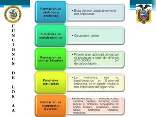 F 
U 
N 
C 
I 
O 
N 
E 
S 
D 
E 
L 
O 
S 
A 
A 
 