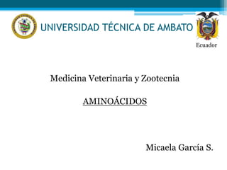 UNIVERSIDAD TÉCNICA DE AMBATO 
Medicina Veterinaria y Zootecnia 
AMINOÁCIDOS 
Ecuador 
Micaela García S. 
 