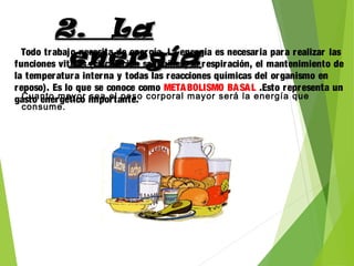 2. La2. La
energíaenergíaTodo trabajo necesita de energía. La energía es necesaria para realizar las
funciones vitales (circulación sanguínea, la respiración, el mantenimiento de
la temperatura interna y todas las reacciones químicas del organismo en
reposo). Es lo que se conoce como METABOLISMO BASAL .Esto representa un
gasto energético importante.Cuanto mayor sea el peso corporal mayor será la energía que
consume.
 
