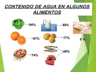 CONTENIDO DE AGUA EN ALGUNOSCONTENIDO DE AGUA EN ALGUNOS
ALIMENTOSALIMENTOS
94% 88%
87% 77%
74%
69%
0 %
 