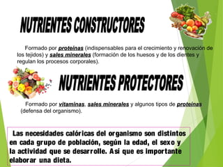 Formado por proteínasproteínas (indispensables para el crecimiento y renovación de
los tejidos) y sales mineralessales minerales (formación de los huesos y de los dientes y
regulan los procesos corporales).
Formado por vitaminasvitaminas, sales mineralessales minerales y algunos tipos de proteínasproteínas
(defensa del organismo).
Las necesidades calóricas del organismo son distintos
en cada grupo de población, según la edad, el sexo y
la actividad que se desarrolle. Así que es importante
elaborar una dieta.
 
