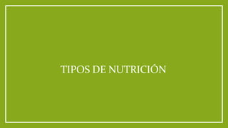 TIPOS DE NUTRICIÓN
 