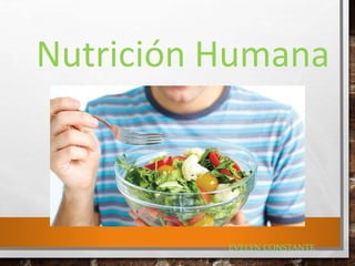 Nutrición Humana
EVELYN CONSTANTE
 