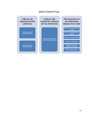 47
MAPA CONCEPTUAL
Cálculo de
requerimientos
calóricos
Cálculo del gasto
energético basal
Cálculo del gasto
energético total
Cálculo del
contenido calórico
de los alimentos
Sistema Mexicano de
Alimentos Equivalentes
Alimentación en
las diferentes
etapas de la vida
Nutrición en el primer año
de vida
Nutrición del preescolar y
escolar
Nutrición del adolescente
Nutrición del adulto
Nutrición de la mujer
adulta y embarazo
Nutrición del anciano
 
