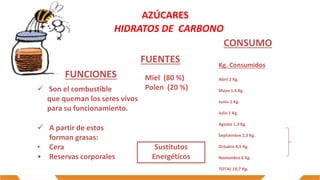 AZÚCARES
 Son el combustible
que queman los seres vivos
para su funcionamiento.
HIDRATOS DE CARBONO
Sustitutos
Energéticos
 A partir de estos
forman grasas:
• Cera
• Reservas corporales
FUNCIONES Miel (80 %)
Polen (20 %)
FUENTES
CONSUMO
Kg. Consumidos
Abril 2 Kg.
Mayo 1,4 Kg.
Junio 1 Kg.
Julio 1 Kg.
Agosto 1,3 Kg.
Septiembre 2,5 Kg.
Octubre 4,5 Kg.
Noviembre 6 Kg.
TOTAL 19,7 Kg.
 