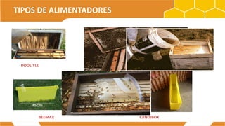 DE BOLSA
TIPOS DE ALIMENTADORES
DOOLITLE
CANDIBOXBEEMAX
DE TECHO
 