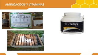 AMINOACIDOS Y VITAMINAS
 