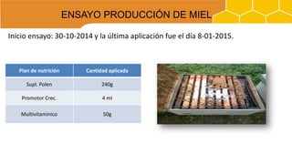 BEEFOOD + BEEPOWER+ NUTRIBEE PLUS
Inicio ensayo: 30-10-2014 y la última aplicación fue el día 8-01-2015.
Plan de nutrición Cantidad aplicada
Supl. Polen 240g
Promotor Crec. 4 ml
Multivitaminico 50g
ENSAYO PRODUCCIÓN DE MIEL
 