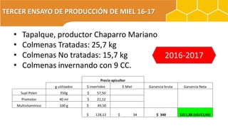 TERCER ENSAYO DE PRODUCCIÓN DE MIEL 16-17
Precio apicultor
g utilizados $ invertidos $ Miel Ganancia bruta Ganancia Neta
Supl Polen 350g $ 57,50
Promotor 40 ml $ 21,12
Multivitamínico 100 g $ 49,50
$ 128,12 $ 34 $ 340 $211,88 (s$U13,66)
• Tapalque, productor Chaparro Mariano
• Colmenas Tratadas: 25,7 kg
• Colmenas No tratadas: 15,7 kg
• Colmenas invernando con 9 CC.
2016-2017
 