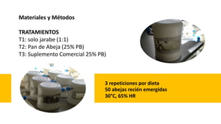 Materiales y Métodos
TRATAMIENTOS
T1: solo jarabe (1:1)
T2: Pan de Abeja (25% PB)
T3: Suplemento Comercial 25% PB)
50 abejas recién emergidas
3 repeticiones por dieta
30°C, 65% HR
 