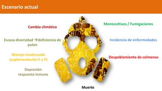 Escenario actual
Despoblamiento de colmenas
Cambio climático
Monocultivos / Fumigaciones
Escasa diversidad deficiencia de
polen
Depresión
respuesta inmune
Incidencia de enfermedades
Muerte
Manejo inadecuado
(suplementación E y P)
 