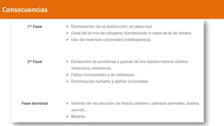 Consecuencias
 