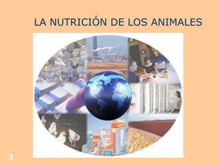LA NUTRICIÓN DE LOS ANIMALES 