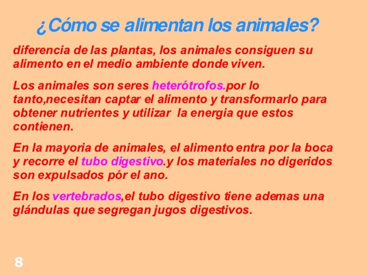 Cuanto Me Corresponde Cobrar La Asignacion Monotributista | soy monotributista como se si cobro asignacion como hago Cuanto Me Corresponde Cobrar La Asignacion Monotributista | soy monotributista como se si cobro asignacion como hago