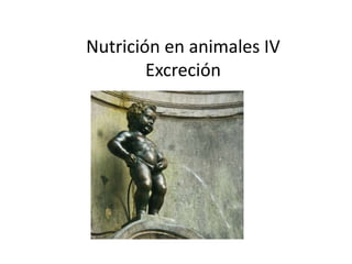 Nutrición en animales IV
        Excreción
 