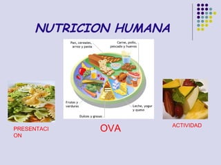 NUTRICION HUMANA




PRESENTACI   OVA         ACTIVIDAD
ON
 
