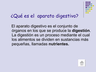   El aparato digestivo es el conjunto de órganos en los que se produce la  digestión . La digestión es un proceso mediante el cual los alimentos se dividen en sustancias más pequeñas, llamadas  nutrientes. ¿Qué es el  aparato digestivo? 