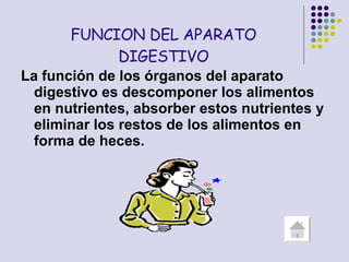La función de los órganos del aparato digestivo es descomponer los alimentos en nutrientes, absorber estos nutrientes y eliminar los restos de los alimentos en forma de heces. FUNCION DEL APARATO DIGESTIVO 