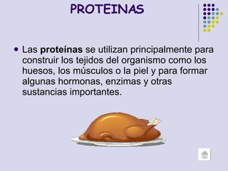 PROTEINAS Las  proteínas  se utilizan principalmente para construir los tejidos del organismo como los huesos, los músculos o la piel y para formar algunas hormonas, enzimas y otras sustancias importantes.  