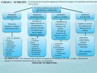 UNIDAD 1: NUTRICIÓN: Es el proceso por el que los organismos obtienen la energía y los materiales necesarios para
                                    vivir y crecer.

                                             Se realiza mediante una serie de
                                               SISTEMAS o APARATOS

        APARATO                          APARATO                            APARATO               APARATO
       DIGESTIVO                       RESPIRATORIO                      CIRCULATORIO            EXCRETOR

                                          Introduce el                    .- Distribuye los
        Tritura los                   oxígeno del aire en                   nutrientes y el   Expulsa al exterior
    alimentos y obtiene                 los pulmones y                      oxígeno a las      las sustancias de
    nutrientes de ellos.              expulsa el dióxido                       células.         desecho de las
                                        de carbono que                      .- Recoge las           células.
                                         trae la sangre                     sustancias de
                                       desde las células.                 desecho y el CO2
     .- BOCA (y glándulas                                                   de las células    .- RIÑONES.
                                      .- BOCA.
     salivares)                       .- CAVIDAD                                              .- URETERES.
     .- FARINGE.                      NASAL.                                                  .- VEJIGA
     .- ESOFAGO.                                                         .- CORAZÓN
                                      .- PFARINGE.                                            URINARIA..
     .- ESTOMAGO.                                                        .- VASOS
                                      .- LARINGE.                                             .- URETRA.
     .- INTESTINO                                                        SANGÚÍNEOS
                                      .- TRAQUEA.
     DELGADO                                                                .- ARTERIAS.
                                      .- BRONQUIOS..
     .- INTESTINO
                                      .- PULMONES.
                                                                            .- VENAS.         .- PIEL (glándulas
     GRUESO.                                                                .- `CAPILARES.    sudoríparas).
     .- RECTO.                        .- ALVÉOLOS.
                                                                         .- SANGRE.
    NUTRIENTES: Son sustancias que podemos conseguir de los alimentos, del aire y el agua, obteniendo la
    energia y los materiales necesarios para lo vida y el crecimiento.
                                         TIPOS DE NUTRIENTES:
 