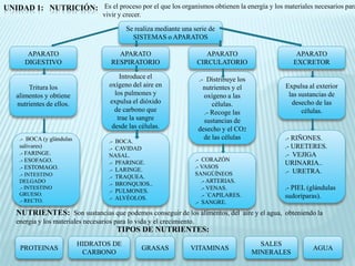 UNIDAD 1: NUTRICIÓN: Es el proceso por el que los organismos obtienen la energía y los materiales necesarios para
                                    vivir y crecer.

                                             Se realiza mediante una serie de
                                               SISTEMAS o APARATOS

        APARATO                          APARATO                            APARATO                        APARATO
       DIGESTIVO                       RESPIRATORIO                      CIRCULATORIO                     EXCRETOR

                                          Introduce el                    .- Distribuye los
        Tritura los                   oxígeno del aire en                   nutrientes y el          Expulsa al exterior
    alimentos y obtiene                 los pulmones y                      oxígeno a las             las sustancias de
    nutrientes de ellos.              expulsa el dióxido                       células.                desecho de las
                                        de carbono que                      .- Recoge las                  células.
                                         trae la sangre                     sustancias de
                                       desde las células.                 desecho y el CO2
     .- BOCA (y glándulas                                                   de las células           .- RIÑONES.
                                      .- BOCA.
     salivares)                       .- CAVIDAD                                                     .- URETERES.
     .- FARINGE.                      NASAL.                                                         .- VEJIGA
     .- ESOFAGO.                                                         .- CORAZÓN
                                      .- PFARINGE.                                                   URINARIA..
     .- ESTOMAGO.                                                        .- VASOS
                                      .- LARINGE.                                                    .- URETRA.
     .- INTESTINO                                                        SANGÚÍNEOS
                                      .- TRAQUEA.
     DELGADO                                                                .- ARTERIAS.
                                      .- BRONQUIOS..
     .- INTESTINO
                                      .- PULMONES.
                                                                            .- VENAS.                .- PIEL (glándulas
     GRUESO.                                                                .- `CAPILARES.           sudoríparas).
     .- RECTO.                        .- ALVÉOLOS.
                                                                         .- SANGRE.
    NUTRIENTES: Son sustancias que podemos conseguir de los alimentos, del aire y el agua, obteniendo la
    energia y los materiales necesarios para lo vida y el crecimiento.
                                         TIPOS DE NUTRIENTES:
                            HIDRATOS DE                                                         SALES
     PROTEINAS                                        GRASAS        VITAMINAS                                 AGUA
                             CARBONO                                                          MINERALES
 