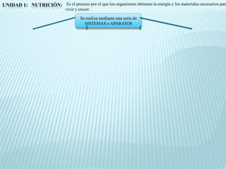 UNIDAD 1: NUTRICIÓN: Es el proceso por el que los organismos obtienen la energía y los materiales necesarios para
                               vivir y crecer.

                                        Se realiza mediante una serie de
                                          SISTEMAS o APARATOS
 