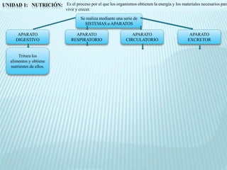 UNIDAD 1: NUTRICIÓN: Es el proceso por el que los organismos obtienen la energía y los materiales necesarios para
                               vivir y crecer.

                                        Se realiza mediante una serie de
                                          SISTEMAS o APARATOS

        APARATO                     APARATO                         APARATO                  APARATO
       DIGESTIVO                  RESPIRATORIO                   CIRCULATORIO               EXCRETOR


        Tritura los
    alimentos y obtiene
    nutrientes de ellos.
 