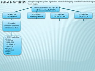 UNIDAD 1: NUTRICIÓN: Es el proceso por el que los organismos obtienen la energía y los materiales necesarios para
                               vivir y crecer.

                                        Se realiza mediante una serie de
                                          SISTEMAS o APARATOS

        APARATO                     APARATO                         APARATO                  APARATO
       DIGESTIVO                  RESPIRATORIO                   CIRCULATORIO               EXCRETOR


        Tritura los
    alimentos y obtiene
    nutrientes de ellos.




     .- BOCA (y glándulas
     salivares)
     .- FARINGE.
     .- ESOFAGO.
     .- ESTOMAGO.
     .- INTESTINO
     DELGADO
     .- INTESTINO
     GRUESO.
     .- RECTO.
 