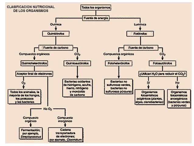 el poder del metabolismo frank suarez pdf simptoms