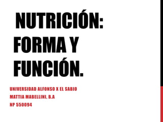 NUTRICIÓN:
 FORMA Y
 FUNCIÓN.
UNIVERSIDAD ALFONSO X EL SABIO
MATTIA MABELLINI, B.A
NP 550094
 