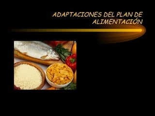 ADAPTACIONES DEL PLAN DE ALIMENTACIÓN 