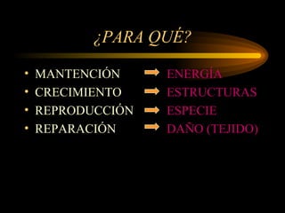 ¿PARA QUÉ? MANTENCIÓN  ENERGÍA CRECIMIENTO ESTRUCTURAS REPRODUCCIÓN ESPECIE REPARACIÓN DAÑO (TEJIDO) 