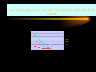 Depleción de glucógeno muscular antes, durante y después de un partido 