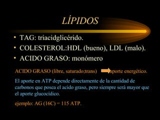 LÍPIDOS TAG: triacidglicérido. COLESTEROL:HDL (bueno), LDL (malo). ACIDO GRASO: monómero ACIDO GRASO (libre, saturado;trans)  aporte energético. El aporte en ATP depende directamente de la cantidad de carbonos que posea el acido graso, pero siempre será mayor que el aporte glucocídico. ejemplo: AG (16C) = 115 ATP. 