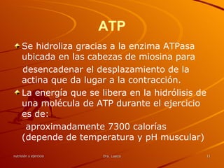 ATP Se hidroliza gracias a la enzima ATPasa ubicada en las cabezas de miosina para desencadenar el desplazamiento de la actina que da lugar a la contracción. La energía que se libera en la hidrólisis de una molécula de ATP durante el ejercicio es de: aproximadamente 7300 calorías (depende de temperatura y pH muscular) 