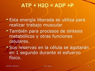 ATP + H2O = ADP +P Esta energía liberada se utiliza para realizar trabajo muscular  También para procesos de síntesis metabólicos y otras funciones celulares. Sus reservas en la célula se agotarán en 1 segundo durante el esfuerzo físico. 