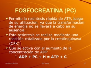 FOSFOCREATINA (PC) Permite la resíntesis rápida de ATP, luego de su utilización, ya que la transformación de energía no se llevará a cabo en su ausencia. Esta resíntesis se realiza mediante una reacción catalizada por la creatinquinasa (CPK) Que se activa con el aumento de la concentración de ADP ↑  ADP + PC + H = ATP + C 