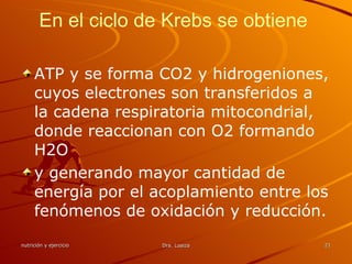 En el ciclo de Krebs se obtiene  ATP y se forma CO2 y hidrogeniones, cuyos electrones son transferidos a la cadena respiratoria mitocondrial, donde reaccionan con O2 formando H2O y generando mayor cantidad de energía por el acoplamiento entre los fenómenos de oxidación y reducción. 