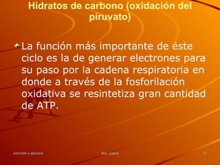 Hidratos de carbono (oxidación del piruvato) La función más importante de éste ciclo es la de generar electrones para su paso por la cadena respiratoria en donde a través de la fosforilación oxidativa se resintetiza gran cantidad de ATP. 