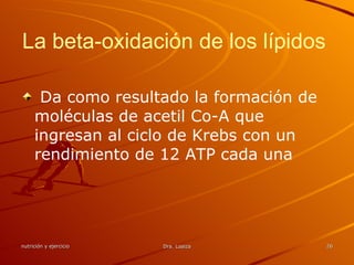 La beta-oxidación de los lípidos  Da como resultado la formación de moléculas de acetil Co-A que ingresan al ciclo de Krebs con un rendimiento de 12 ATP cada una 