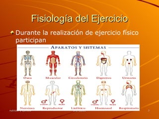Fisiología del Ejercicio Durante la realización de ejercicio físico participan 