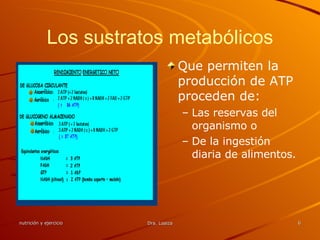 Los sustratos metabólicos Que permiten la producción de ATP proceden de: Las reservas del organismo o  De la ingestión diaria de alimentos. 
