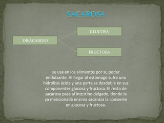 DISACARIDO GLUCOSA FRUCTOSA se usa en los alimentos por su poder endulzante. Al llegar al estómago sufre una hidrólisis ácida y una parte se desdobla en sus componentes glucosa y fructosa. El resto de sacarosa pasa al intestino delgado, donde la ya mencionada enzima sacarasa la convierte en glucosa y fructosa. 