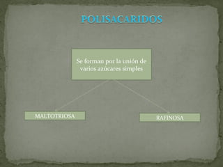 Se forman por la unión de varios azúcares simples MALTOTRIOSA RAFINOSA 