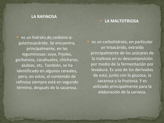 LA RAFINOSA  es un hidrato   de   carbono α- galactosacárido. Se encuentra, principalmente, en las leguminosas: soya, frijoles, garbanzos, cacahuates, chícharos, alubias, etc. También, se ha identificado en algunos cereales, pero, en estos, el contenido de rafinosa siempre está en segundo término, después de la sacarosa. LA MALTOTRIOSA  es un carbohidrato, en particular un trisacárido, extraído principalmente de los azúcares de la maltosa en su descomposición por medio de la fermentación por levadura. Es uno de los derivados de esta, junto con la glucosa, la sacarosa y la fructosa. Y es utilizado principalmente para la elaboración de la cerveza. 