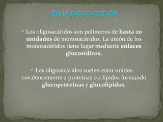 Los oligosacáridos son polímeros de  hasta 20 unidades  de monosacáridos. La unión de los monosacáridos tiene lugar mediante  enlaces glucosídicos. Los oligosacáridos suelen estar unidos covalentemente a proteínas o a lípidos formando  glucoproteínas  y  glucolípidos . 