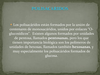 Los polisacáridos están formados por la unión de centenares de monosacáridos, unidos por enlaces “O-glucosídicos”.  Existen algunos formados por unidades de pentosa, llamados  pentosanas,  pero los que tienen importancia biológica son los polímeros de unidades de hexosas, llamados también  hexosanas , y muy especialmente los polisacáridos formados de glucosa. 