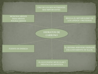HIDRATOS DE CARBONO UNO DE LOS SEIS NUTRIENTES MAS IMPORTANTES MONOSACARIDOS DISACARIDOS POLISACARIDOS FUENTE DE ENERGIA REGULA EL METABOLISMO DE LOS LIPIDOS Y PROTEINAS EL SISTEMA NERVIOSO DEPENDE EXCLUSIVAMENTE DE ELLOS. EL GLUCOGENO MUSCULAR Y HEPATICO SE SINTETIZA. 