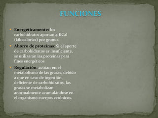 Energéticamente:   los carbohidratos aportan 4 KCal (kilocalorías) por gramo. Ahorro de proteínas :  Si el aporte de carbohidratos es insuficiente, se utilizarán las   proteínas para fines energéticos Regulación :  actúan  en  el metabolismo de las grasas, debido a que en caso de ingestión deficiente de carbohidratos, las grasas se metabolizan anormalmente acumulándose en el organismo cuerpos cetónicos. 